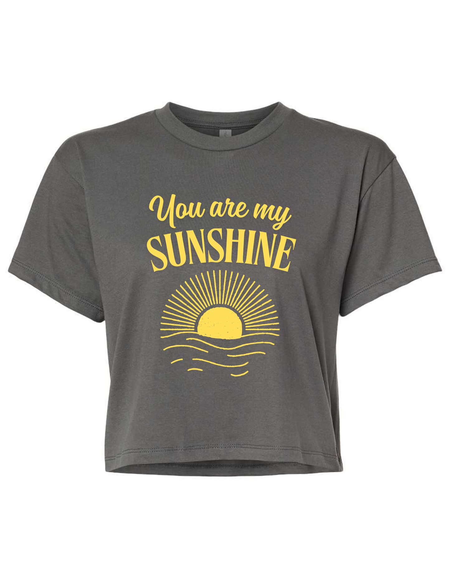 Orlando Mission Trip - You Are My Sunshine Crop Top