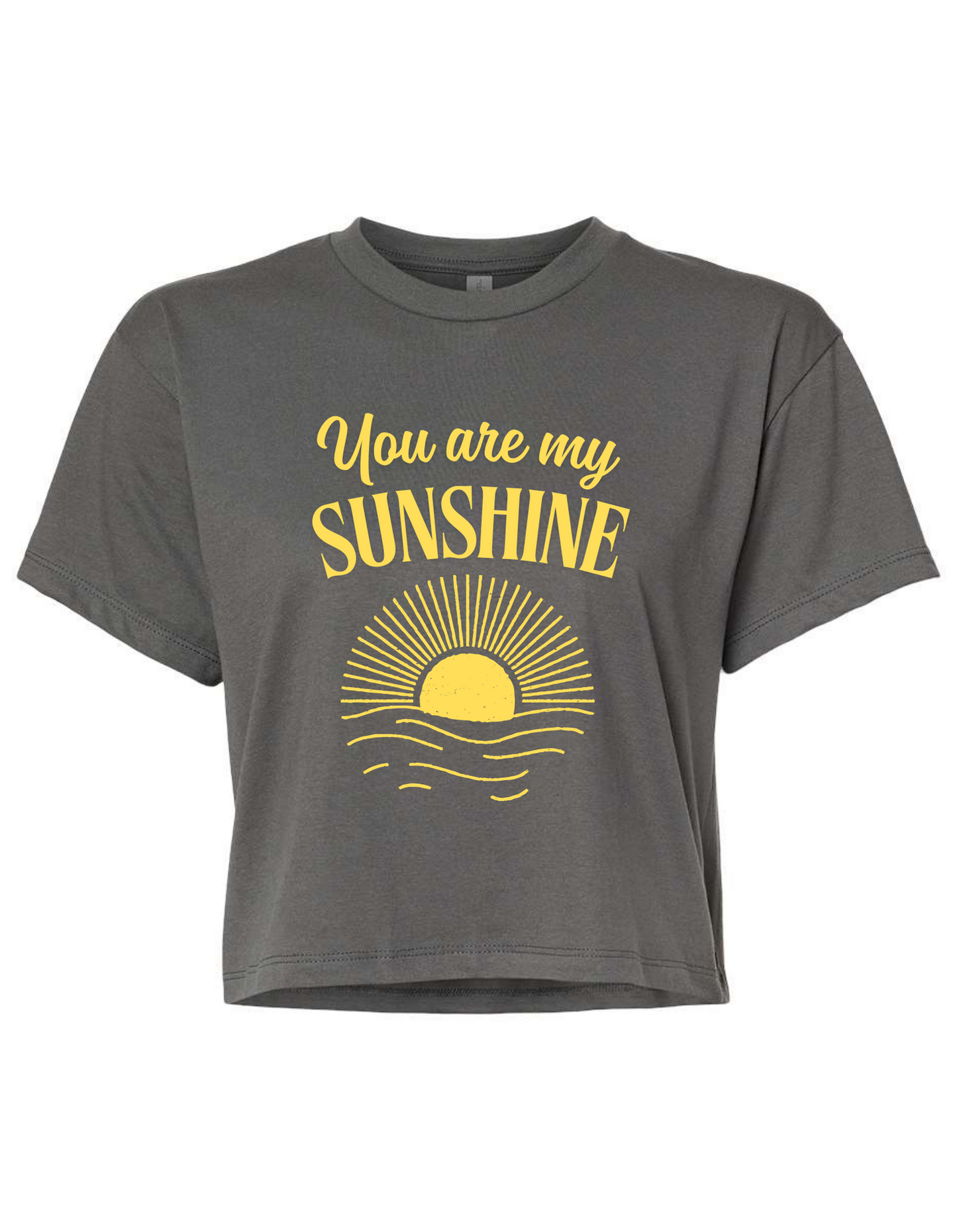 Orlando Mission Trip - You Are My Sunshine Crop Top